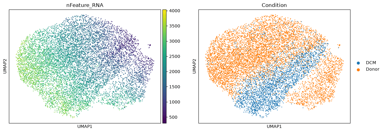 Output of cell 6