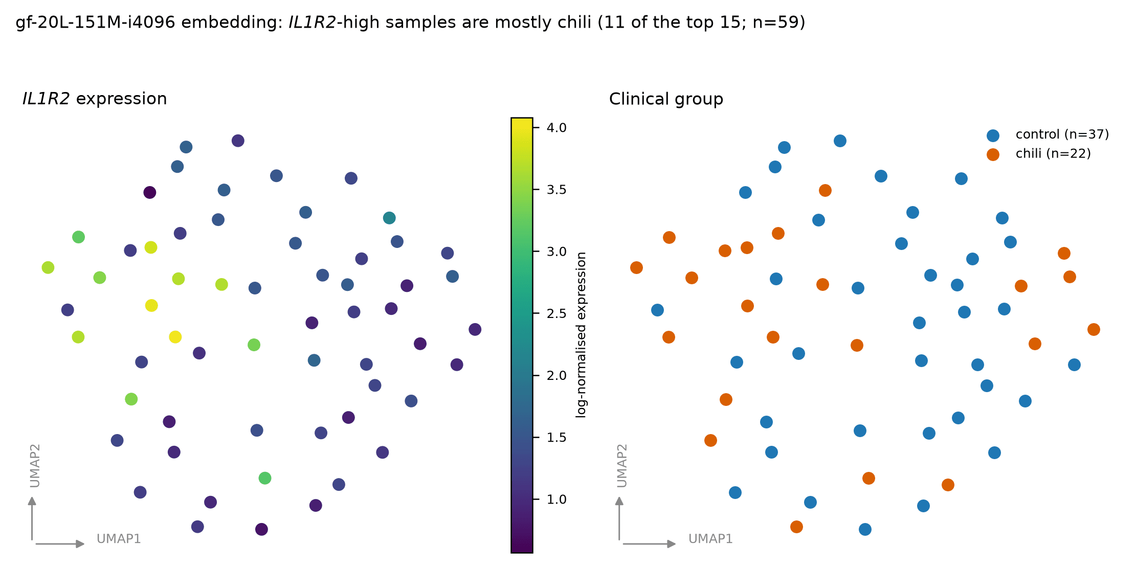 UMAP of the gf-20L-151M-i4096 embedding coloured by IL1R2 expression and by clinical group