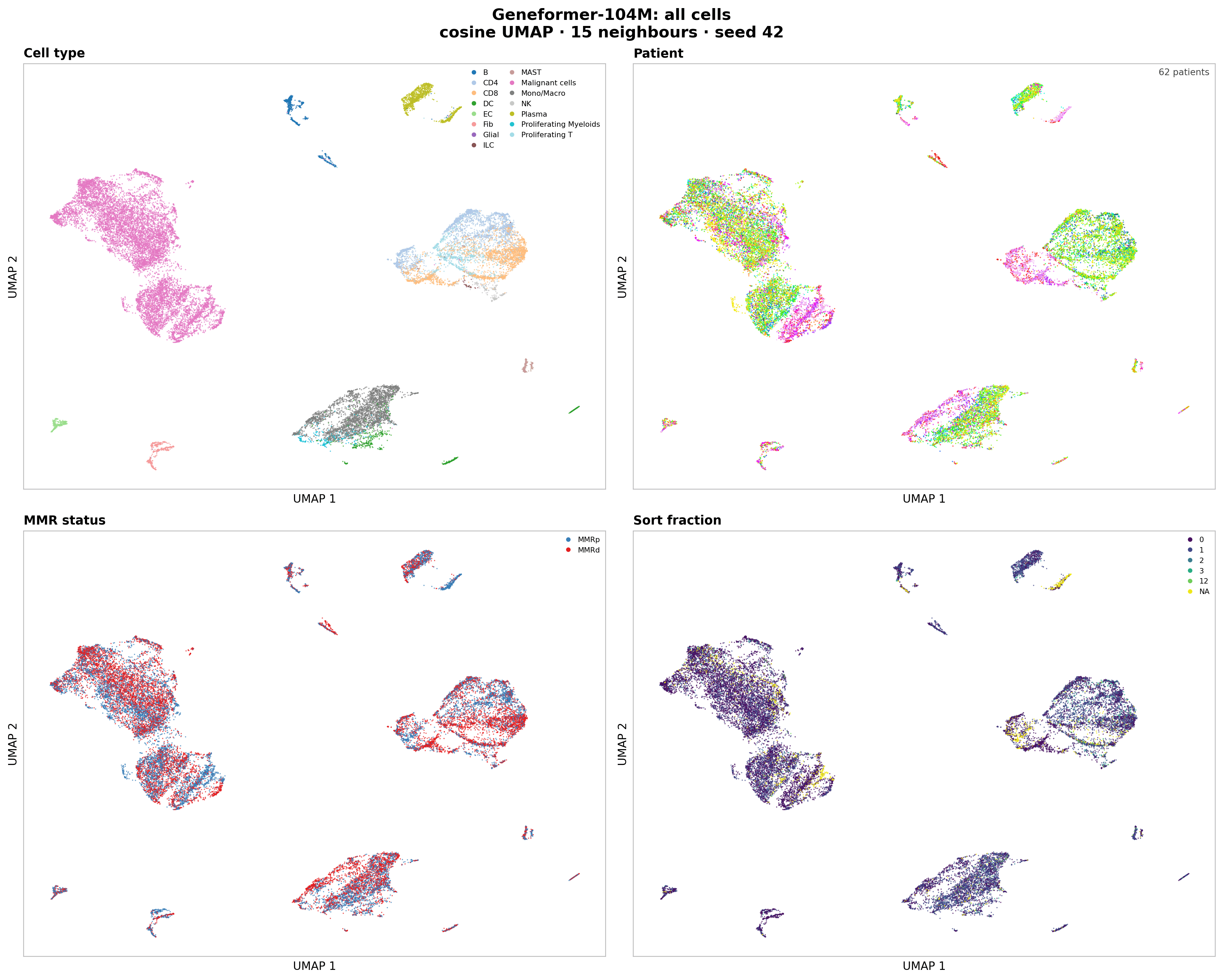 Geneformer-104M UMAPs of all cells, coloured by cell type, patient, MMR status and sort fraction