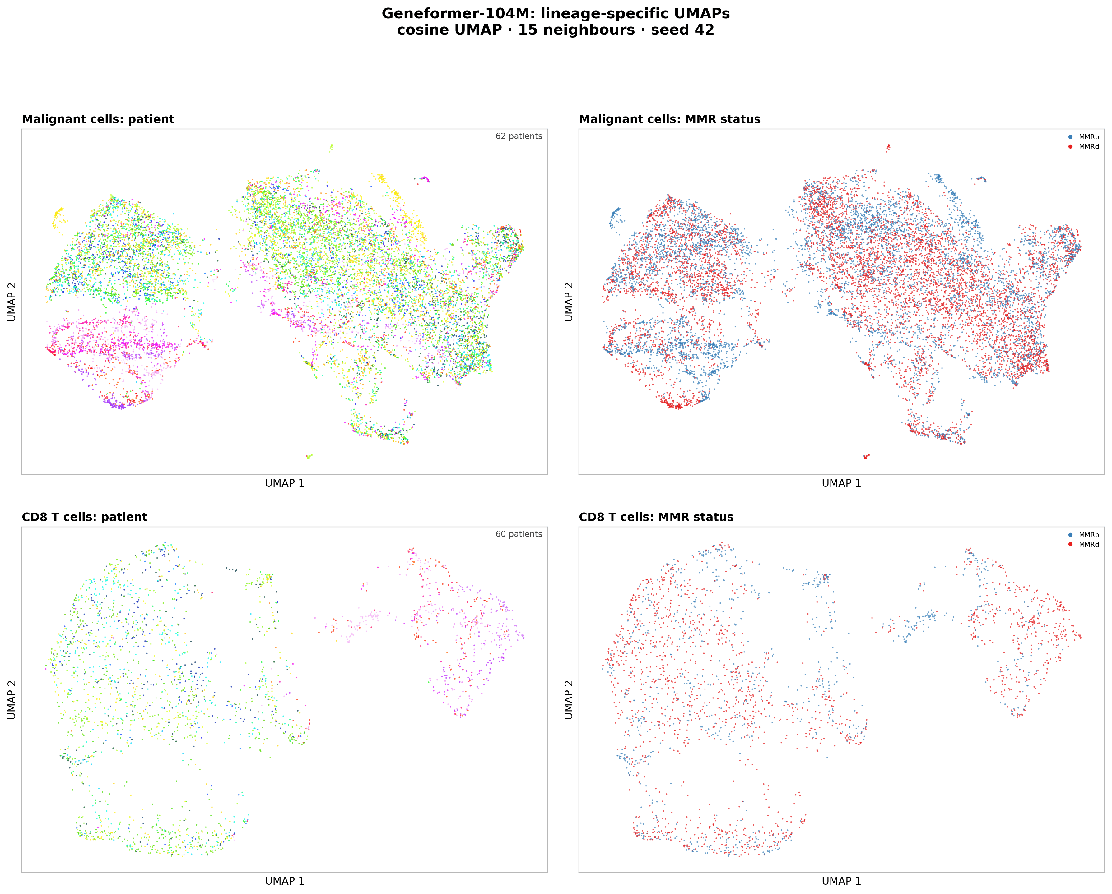 Geneformer-104M UMAPs of malignant and CD8 T cells, coloured by patient and MMR status