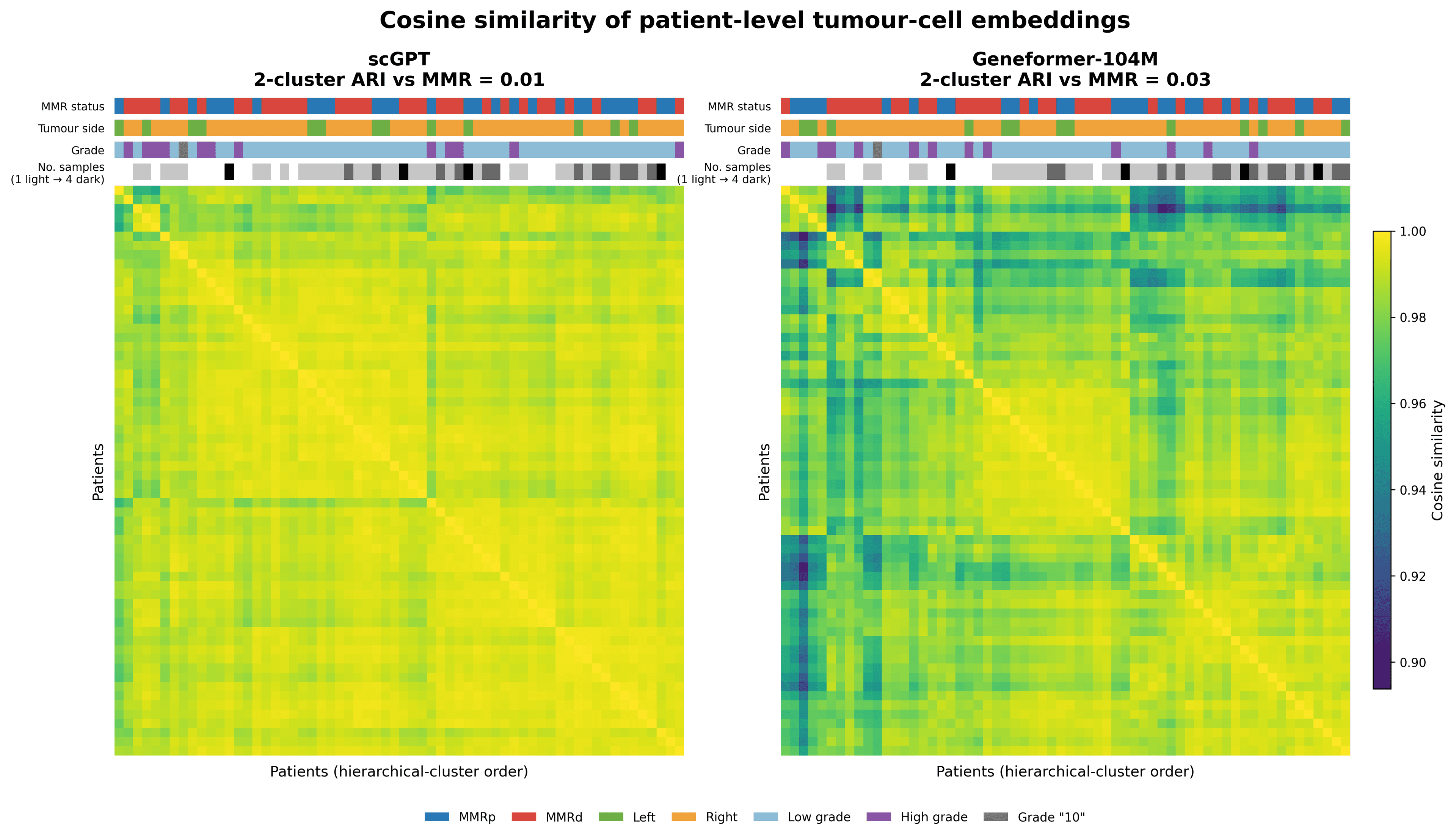 Patient-by-patient cosine-similarity heatmaps for scGPT and Geneformer-104M, with hierarchical clustering and MMR status