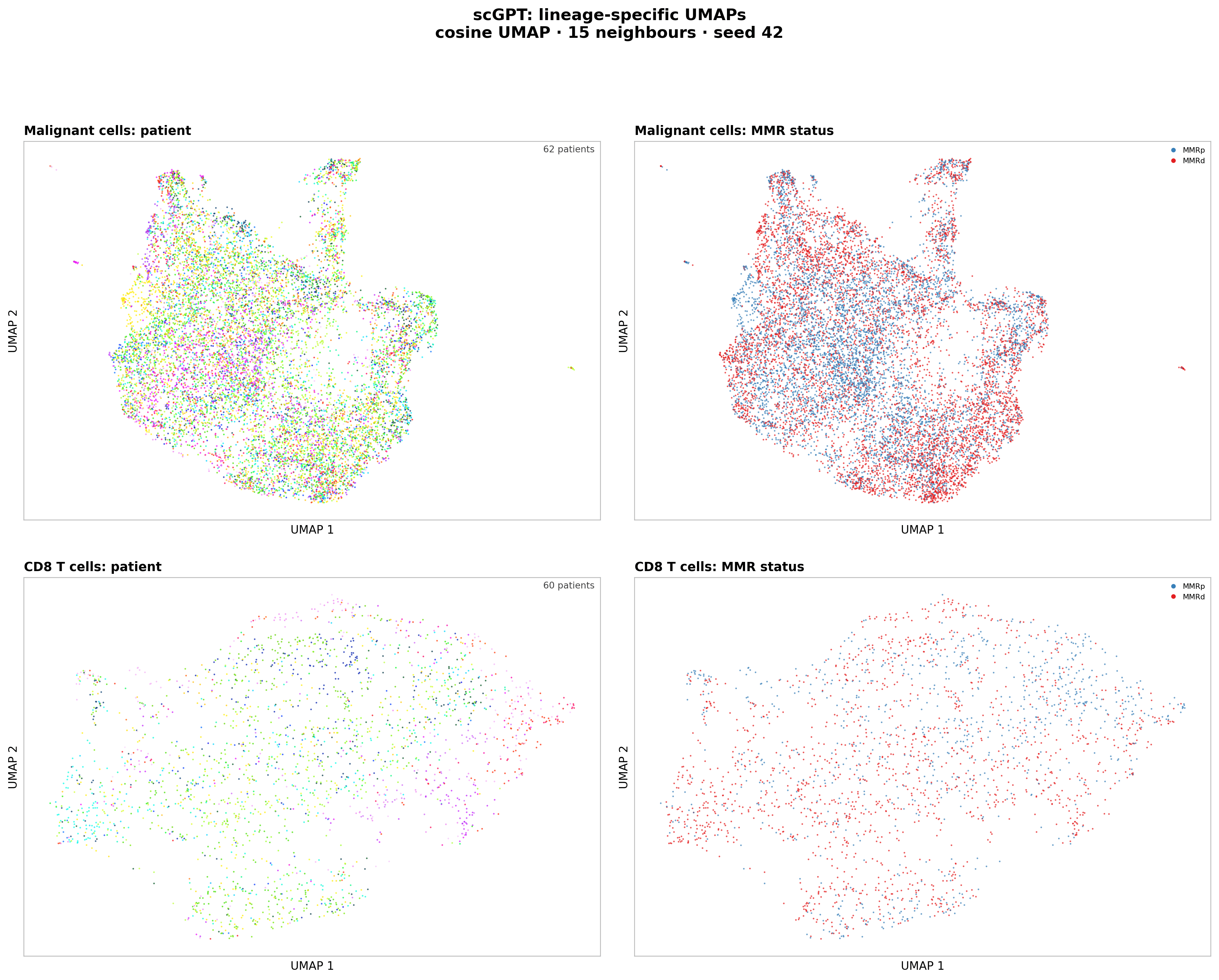 scGPT UMAPs of malignant and CD8 T cells, coloured by patient and MMR status