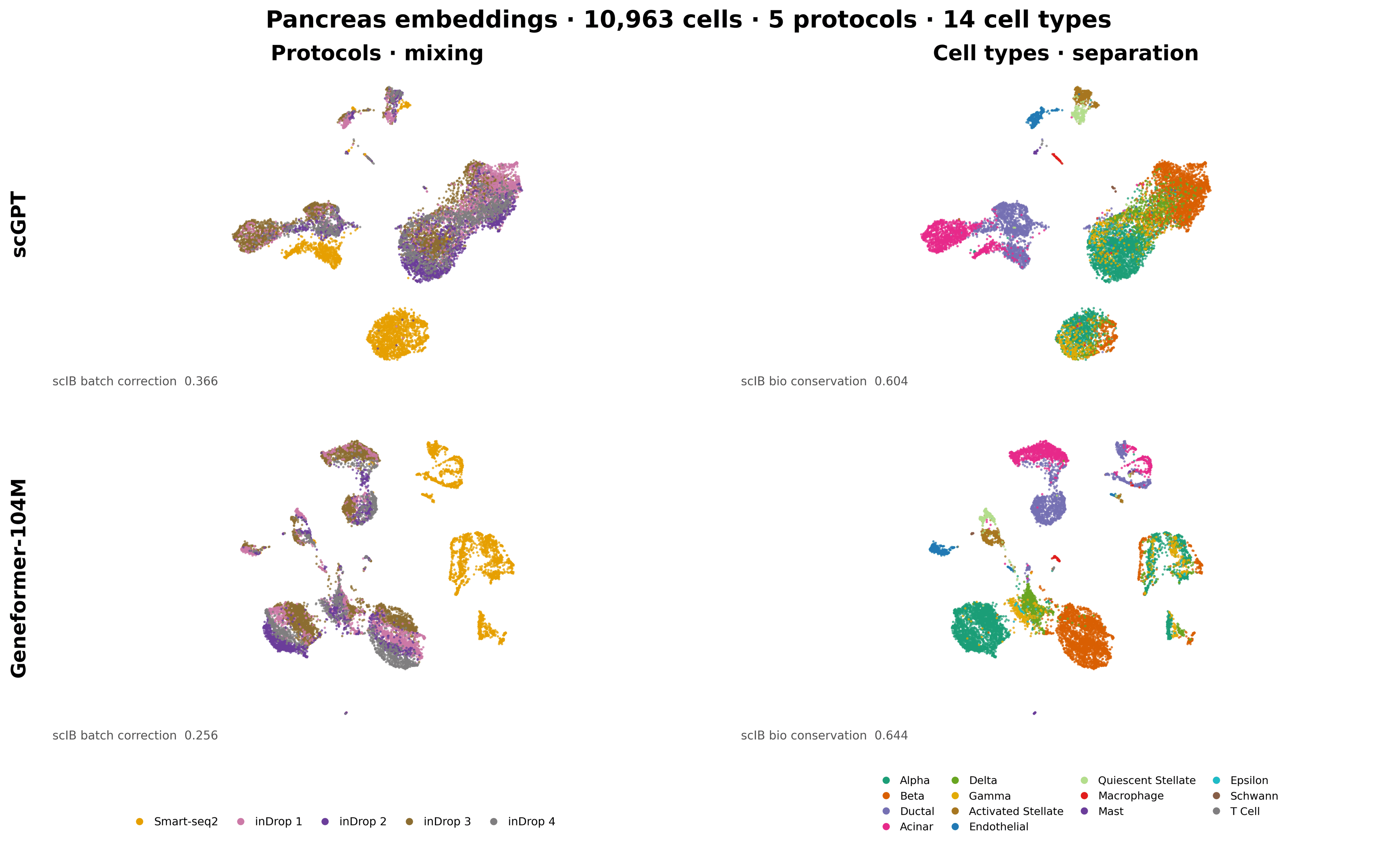 scGPT and Geneformer-104M UMAPs of the scIB pancreas task, coloured by protocol and by cell type