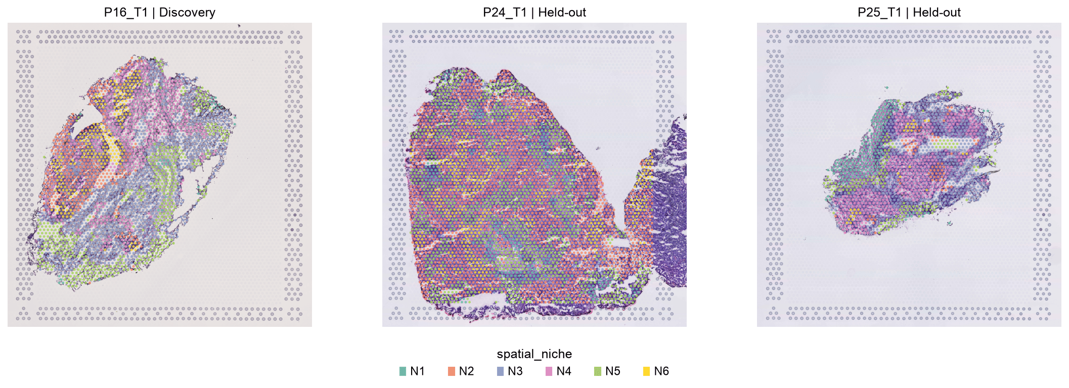 Nicheformer spatial niches on a discovery tumour slide and two held-out tumour slides