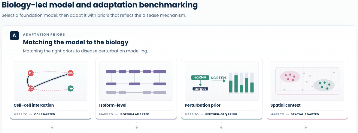 Biology-led adaptation priors: CCI, isoform, perturbation, spatial